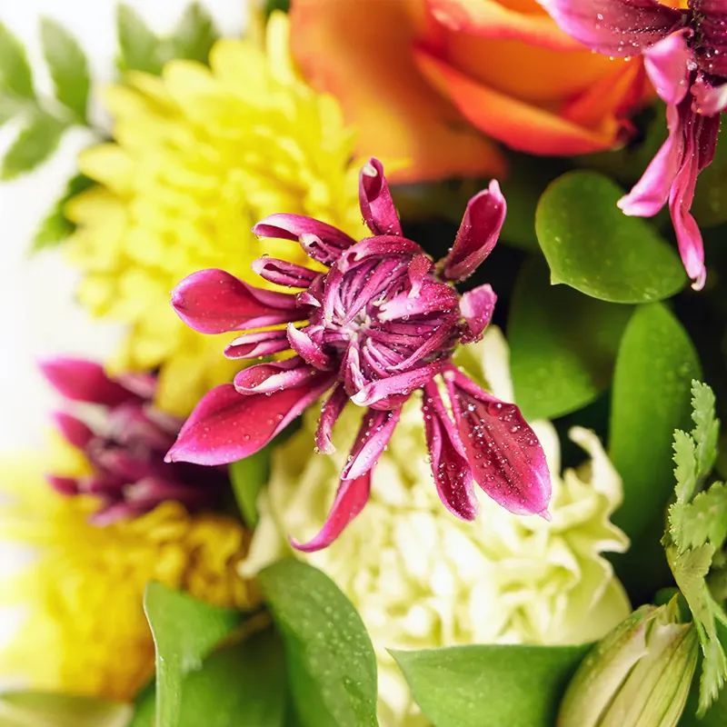 Букет Характер