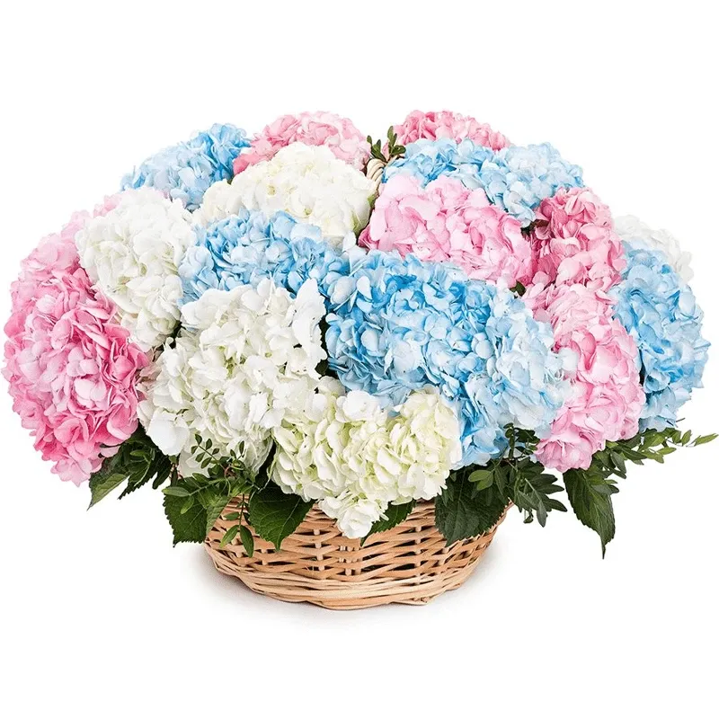 Корзина с цветами Цветочный взрыв